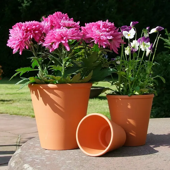 Pflanztopf - Max. Außendurchmesser: 16 cm, Höhe: 15,5 cm, Terracotta - Das Bild zeigt drei Terrakotta-Blumentöpfe, von denen zwei mit bunten Blumen bepflanzt sind, die auf einer Steinoberfläche stehen.