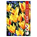 Royal De Ree Holland Voorjaarsbloembollen Tulipa 'Guiseppe Verdi' 