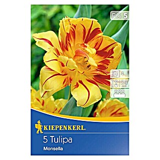 Kiepenkerl Frühlingsblumenzwiebeln Tulpe 'Monsella' (Tulipa x hybride, 5 Stk.)