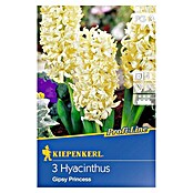 Kiepenkerl Profi-Line Frühlingsblumenzwiebeln Hyazinthe 'Gipsy Princess' (Hyacinthus hybride, 3 Stk.) | BAUHAUS