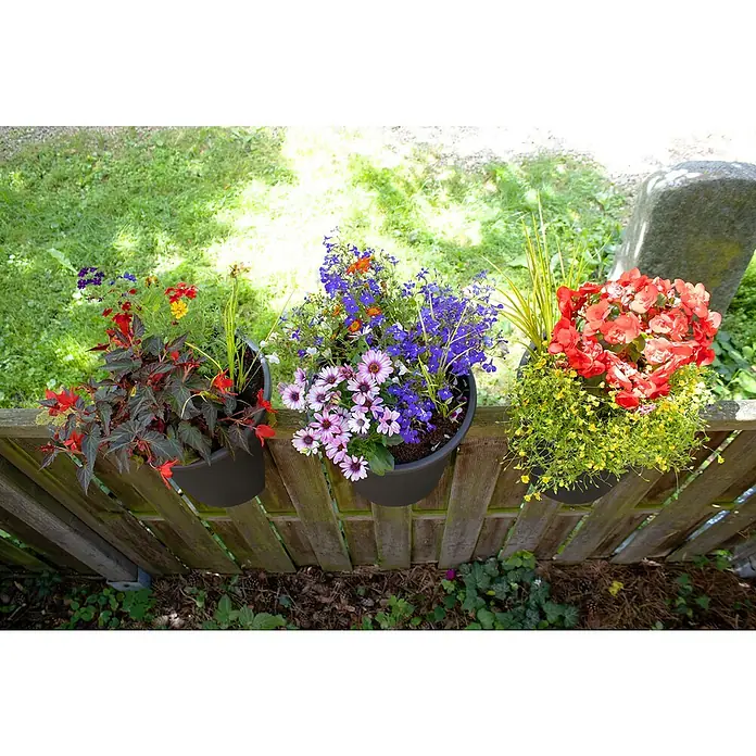 KHW Geländertopf Flowerclip - Außenmaß (Ø x H): 27 x 27,5 cm, Kunststoff, Anthrazit - Bunte Blumenkästen schmücken einen Holzzaun und bringen Farbe in den Garten. Die Vielfalt der Blüten erfreut das Auge und belebt die Umgebung.