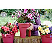 KHW Geländertopf Flowerclip (3 Stk., Ø x H: 27 x 27,5 cm, Beere)