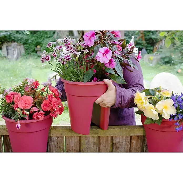 KHW Geländertopf Flowerclip - Außenmaß (Ø x H): 27 x 27,5 cm, Kunststoff, Beere - Pinker Geländer-Pflanztopf wird auf einen Holzzaun gesetzt, gefüllt mit bunten Blumen. Weitere Töpfe mit Blüten sind sichtbar.