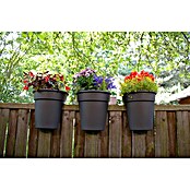 KHW Geländertopf Flowerclip (3 Stk., Ø x H: 27 x 27,5 cm, Anthrazit)