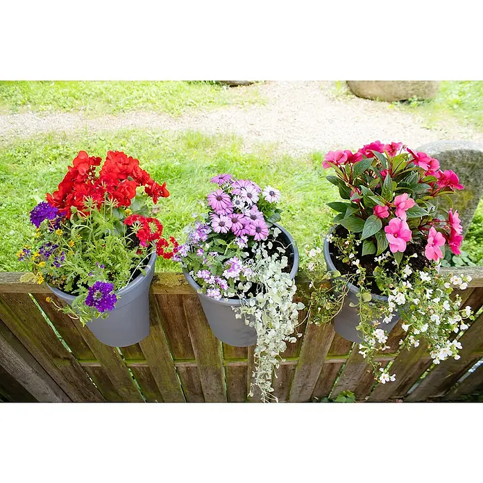 KHW Geländertopf Flowerclip - Außenmaß (Ø x H): 27 x 27,5 cm, Kunststoff, Grau - Drei graue Blumenkästen mit bunten Blumen, die an einem Holzzaun befestigt sind und eine üppige und farbenfrohe Dekoration im Garten bilden.