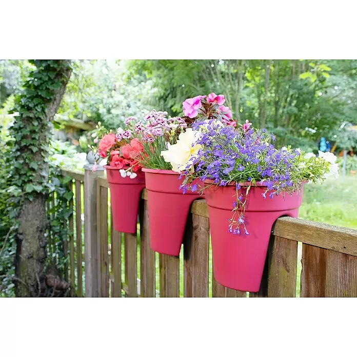 KHW Geländertopf Flowerclip - Außenmaß (Ø x H): 27 x 27,5 cm, Kunststoff, Beere - Drei rote Blumenkübel hängen an einem Holzzaun, gefüllt mit bunten Blumen.