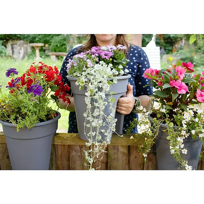 KHW Geländertopf Flowerclip - Außenmaß (Ø x H): 27 x 27,5 cm, Kunststoff, Grau - Frau hält drei graue Pflanzgefäße mit bunten Sommerblumen wie Geranien, Verbenen und Kapkörbchen vor einem Holzzaun.