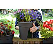 KHW Geländertopf Flowerclip (3 Stk., Ø x H: 27 x 27,5 cm, Anthrazit)