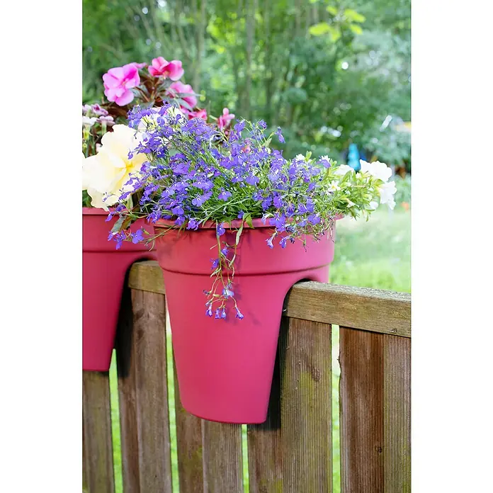 KHW Geländertopf FlowerclipAußenmaß (Ø x H): 27 x 27,5 cm, Kunststoff, Beere - Nahaufnahme von zwei roten Pflanzgefäßen, die an einem Holzzaun hängen, gefüllt mit bunten Blumen.