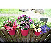 KHW Geländertopf Flowerclip (3 Stk., Ø x H: 27 x 27,5 cm, Beere)