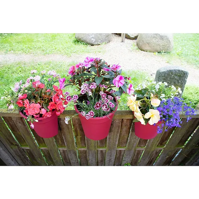 KHW Geländertopf Flowerclip - Außenmaß (Ø x H): 27 x 27,5 cm, Kunststoff, Beere - Drei üppige Blumenkästen mit farbenprächtigen Blüten hängen an einem Holzzaun und verschönern den Garten mit ihrer Pracht.