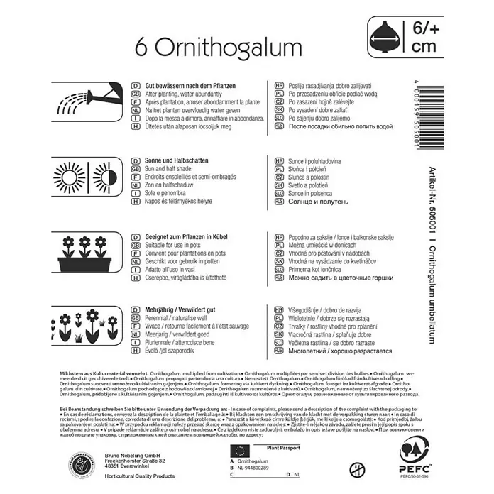 Kiepenkerl Blumenzwiebeln Milchstern - Ornithogalum umbellatum, 6 Stk. - Produktbild der Verpackung von 6 Ornithogalum Blumenzwiebeln, ideal für sonnige bis halbschattige Standorte und zur Pflanzung in Kübeln geeignet.