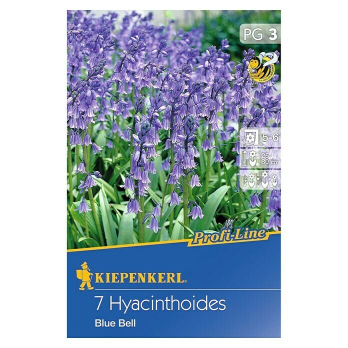 Kiepenkerl Profi-Line Bulbi di fiori primaverili giacinto selvatico 