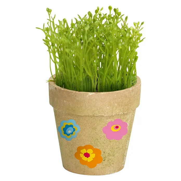 Vinilo de pared - Flores de colores, Multicolor, Plástico - Linda maceta con pegatinas de flores coloridas, plantada con vegetación fresca. Ideal para el hogar.