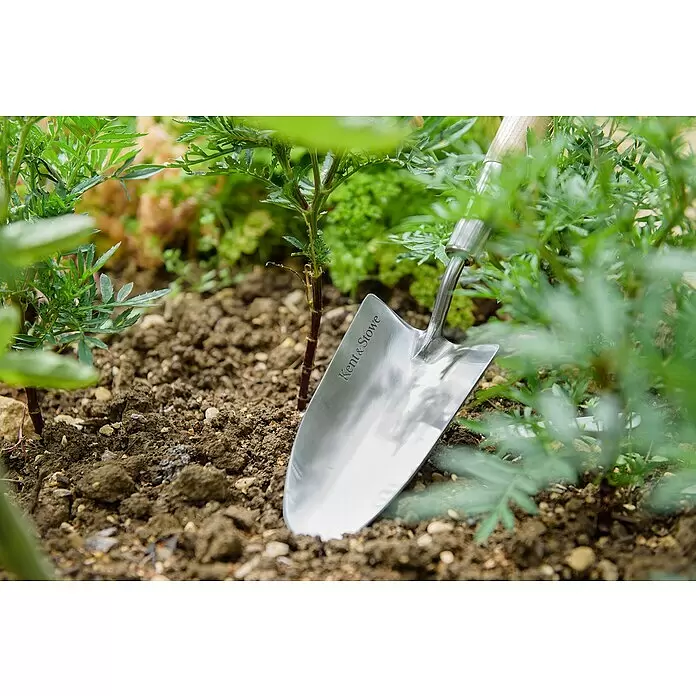 Kent & Stowe Blumenkelle - 8 cm - Eine silberne Kent & Stowe Gartenschaufel mit Holzgriff, teilweise in dunkle Erde neben einer grünen Pflanze gegraben.