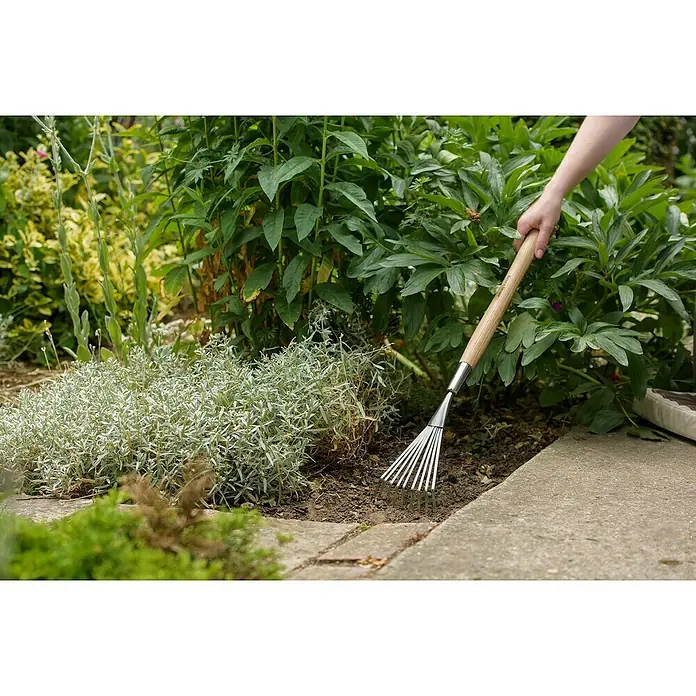 Kent & Stowe Handbesen - Eschenholz, Material Gerätekopf: Edelstahl - Eine Hand hält einen Fächerbesen mit Holzgriff zum Entfernen von Laub und Gartenabfällen zwischen Pflanzen und Steinplatten.