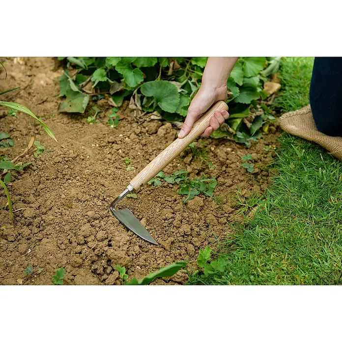 Kent & Stowe Schneidhacke - 5,5 cm - Nahaufnahme einer Gartenhacke mit Holzgriff, die in der Erde steckt. Ein unverzichtbares Werkzeug für jeden Gärtner zur Bodenbearbeitung.
