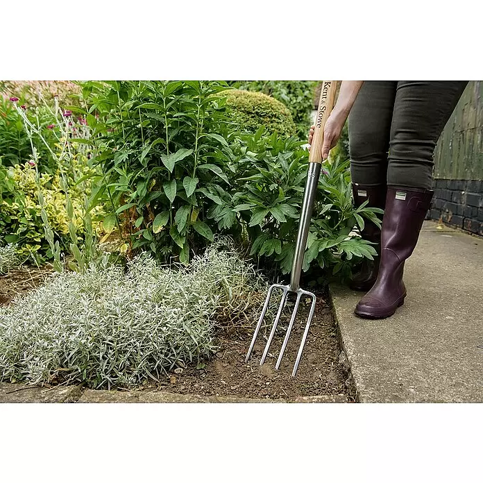 Kent & Stowe Spatengabel - Länge Gabel: 227 mm, Breite Gabel: 137 mm, Anzahl Zinken: 4, Langstiel - Gärtner benutzt eine Kent & Stowe Grabegabel mit Holzgriff und silbernen Zinken zur Bodenbearbeitung im Beet.