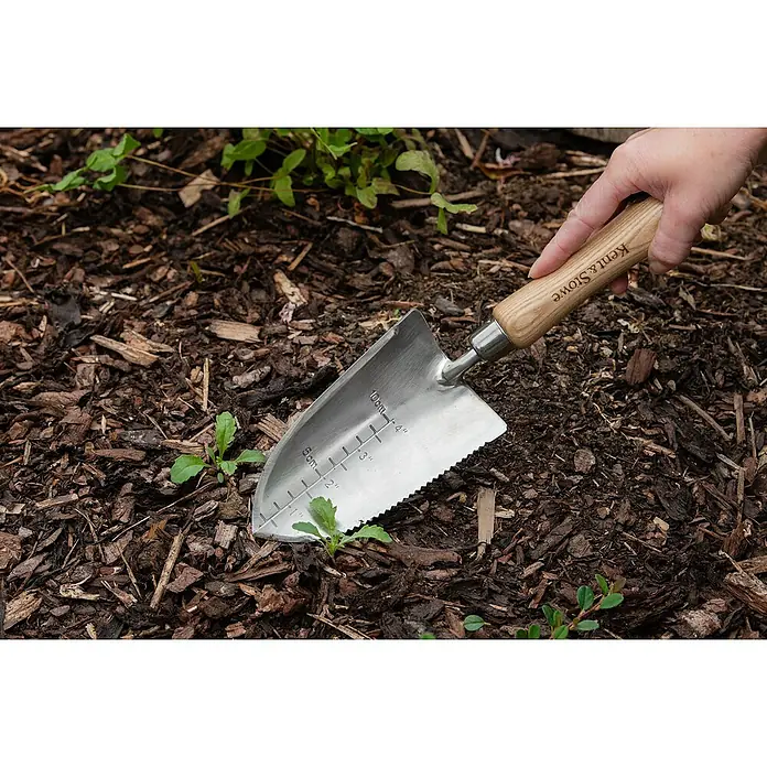 Kent & Stowe Blumenkelle - 32 cm - Nahaufnahme eines Kent & Stowe-Gartenspatens mit Holzgriff, der in die Erde gesteckt wird, um kleine Setzlinge einzupflanzen.