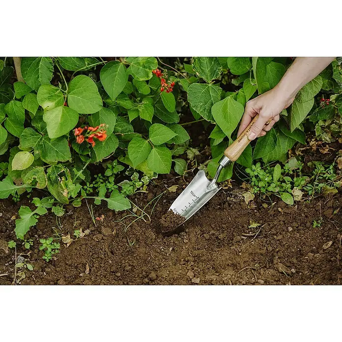 Kent & Stowe Pflanzkelle - 6,5 cm - Nahaufnahme eines rostfreien Gartenhandspatens mit Holzgriff, der in die Erde gesteckt wird, umgeben von üppigem Grün.