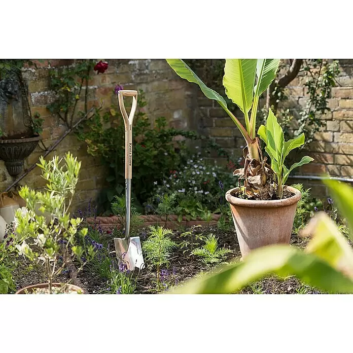 Kent & Stowe Gärtnerspaten - Arbeitsbreite: 18 cm, Langstiel - Spaten von Kent & Stowe mit hellem Holzgriff und poliertem Metallblatt, aufrecht im Gartenbeet stehend.