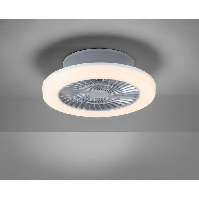 Ventilador de techo Leonard - Gris, 50 cm, 27 W, Blanco cálido - Ventilador de techo con iluminación LED integrada. El ventilador es gris y tiene un diseño moderno que se adapta bien a cualquier habitación.