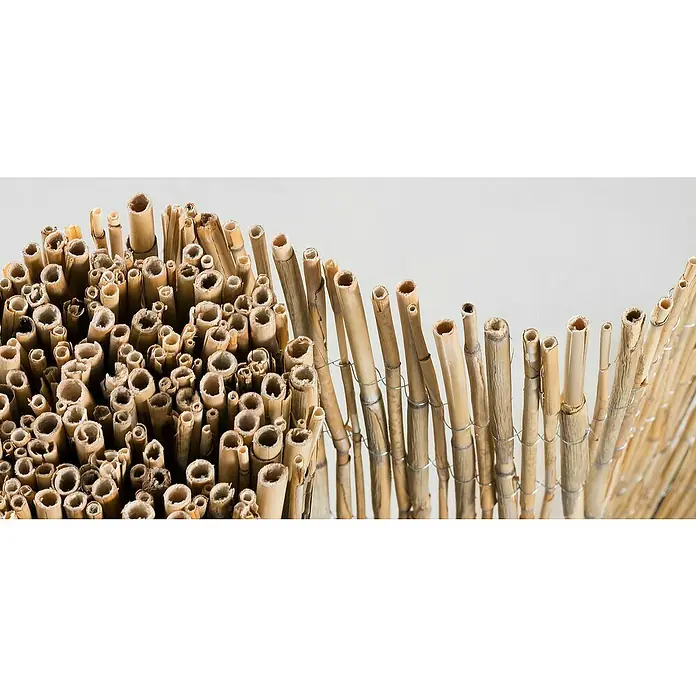 Gardol Schilfrohrmatte - 600 x 180 cm, Geeignet für: Sicht- und Windschutz - Detailaufnahme eines dekorativen Schilfzauns, der sich ideal als natürlicher Sichtschutz für Gärten und Terrassen eignet.
