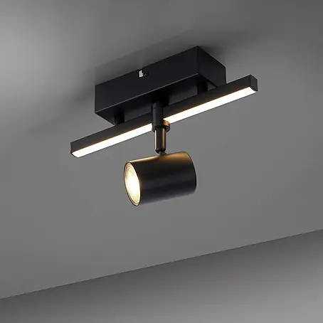Paul Neuhaus  LED-Wand- & Deckenstrahler Barik