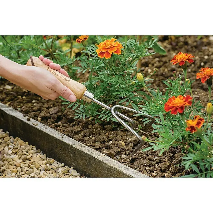 Kent & Stowe Hand-Kleingrubber - Anzahl Zinken: 3 - Nahaufnahme eines Kent & Stowe Gartenkrallers, der in einem Beet mit Ringelblumen verwendet wird, ideal zum Auflockern und Belüften des Bodens.