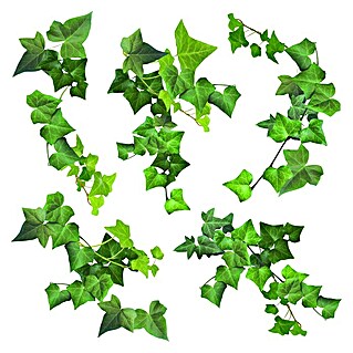 Adhesivos decorativos Hiedra Verde (Lámina autoadhesiva, 31 x 31 cm, Verde)
