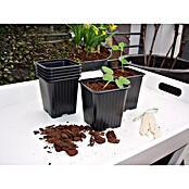 Nature Kweekpot (Ø x h: 7 x 6 cm, Kunststof, 7 st.) | BAUHAUS