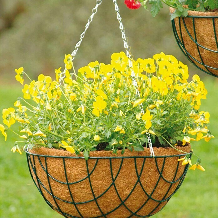 Bellissa Pot de fleurs suspendu Hanging Basket 30 cm