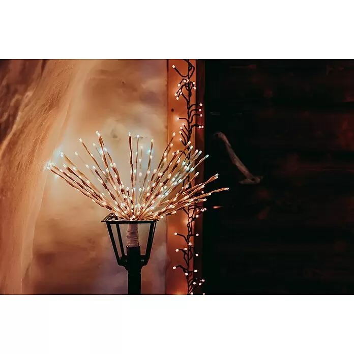 Twinkly LED-Dekoleuchte Spritzer - Netzbetrieben - Eine sternförmige LED-Dekorationsleuchte mit warmweißen Birnen an dunklen Ästen, in einer Außenlaterne platziert.