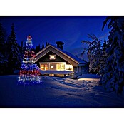 Twinkly LED-Weihnachtsbaum Light Tree (Außen, 2 m, 300 Stk., Lichtfarbe: RGBW, Netzbetrieben) | BAUHAUS