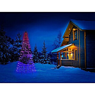 Twinkly LED-Weihnachtsbaum Light Tree (Höhe: 3 m)