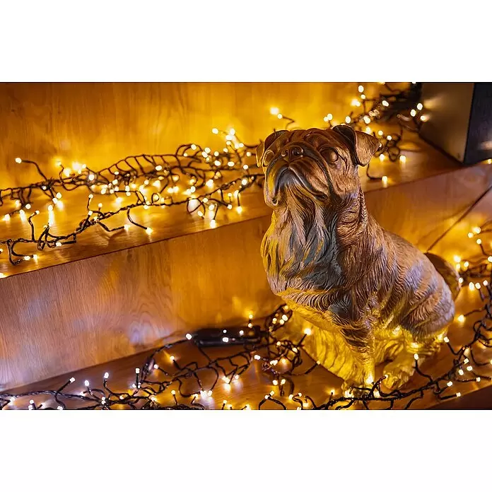 Twinkly Cadena de luces LED Cluster - Para exterior, Largo: 6 m, 400 ud., Funcionamiento en red, Color de luz: Ámbar - Estatua de pug color bronce con luces de cadena en estantes de madera, creando un ambiente cálido y festivo.