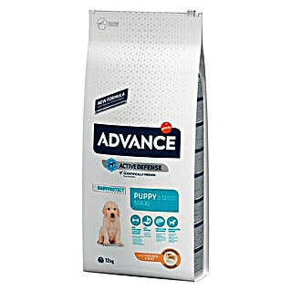 Affinity Advance Pienso seco para perros Puppy Maxi (12 kg, Pollo y arroz)