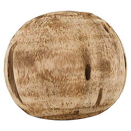 Dekoelement Kugel Albizia (Natur, Holz, Durchmesser: 15 cm)