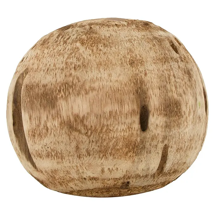 Dekoelement Kugel Albizia - Natur, Holz, Durchmesser: 15 cm - Nahaufnahme einer Kokosnuss, die die faserige Textur und die natürliche Form der Schale hervorhebt.