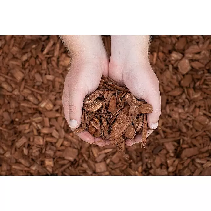 Bevermann Dekor-Mulch50 l, Nussbraun