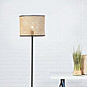 Brilliant Wiley Stehleuchte (60 W, Höhe: 154 cm, Schwarz, E27) | BAUHAUS