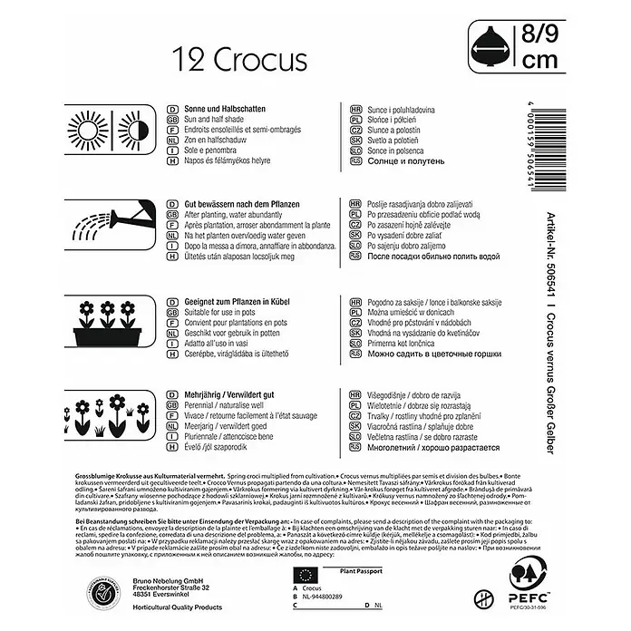 Kiepenkerl Blumenzwiebeln Krokus 'Großer Gelber' - Crocus vernus 'Großer Gelber', 12 Stk. - Produktverpackung für 12 Krokusse (Crocus vernus Großer Gelber) mit Pflanzhinweisen und Informationen zur Herkunft.