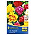 Kiepenkerl Frühlingsblumenzwiebeln Tulpe 'Gefüllter Mix' 