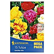 Kiepenkerl Frühlingsblumenzwiebeln Tulpe 'Gefüllter Mix' (Tulipa x hybride) | BAUHAUS