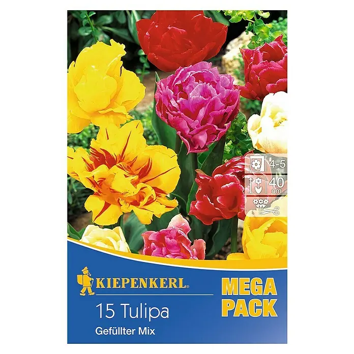 Kiepenkerl Blumenzwiebeln Tulpe 'Gefüllter Mix' - Tulipa x hybride - Packung von Kiepenkerl mit 15 Tulpen "Gefüllter Mix", einer farbenfrohen Mischung gefüllter Tulpensorten für den Garten oder als Schnittblumen.