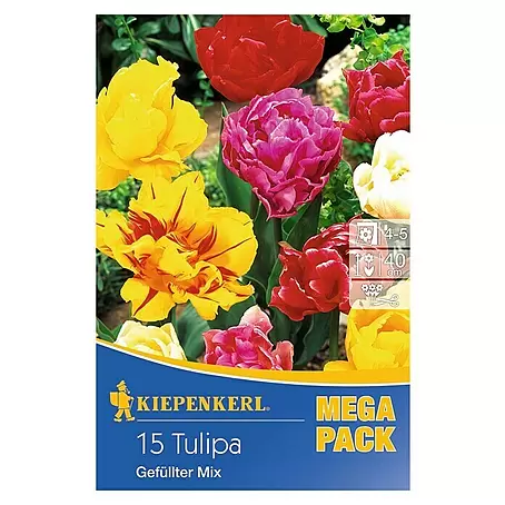 Kiepenkerl  Frühlingsblumenzwiebeln Tulpe 'Gefüllter Mix'