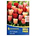 Kiepenkerl Frühlingsblumenzwiebeln Tulpe 'Jimmy Mix' 