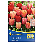 Kiepenkerl Frühlingsblumenzwiebeln Tulpe 'Jimmy Mix' (Tulipa x hybride) | BAUHAUS