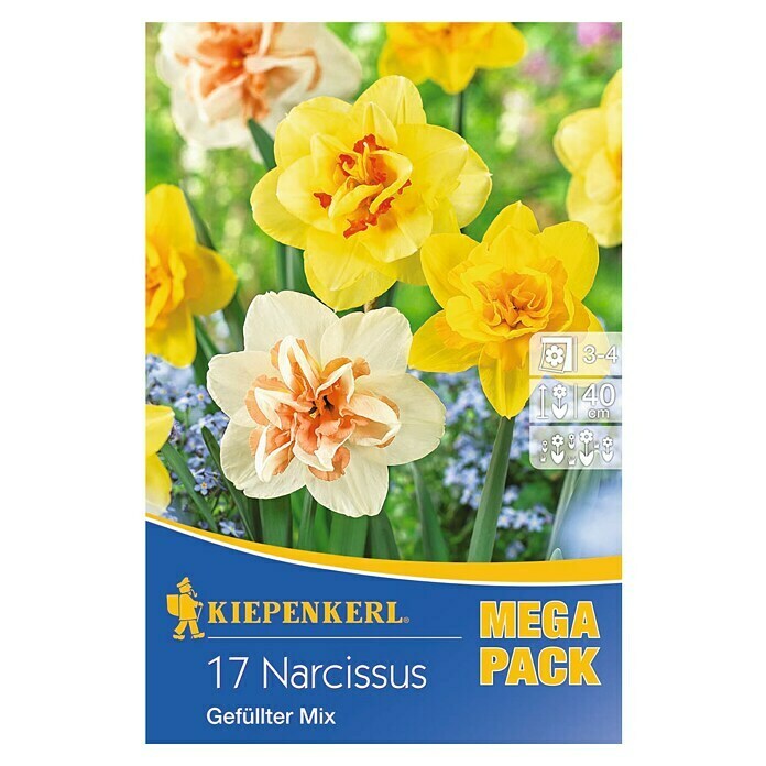 Kiepenkerl Frühlingsblumenzwiebeln Gefüllter Narzissen-Mix (Narcissus, 17 Stk.) | BAUHAUS