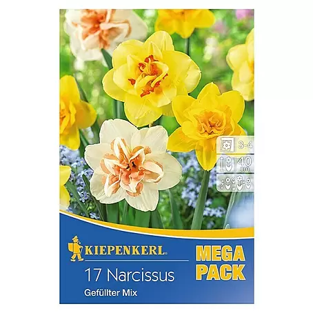 Kiepenkerl  Frühlingsblumenzwiebeln Gefüllter Narzissen-Mix